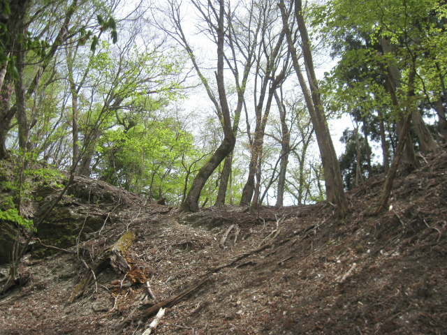 c0219866_07465297.jpg