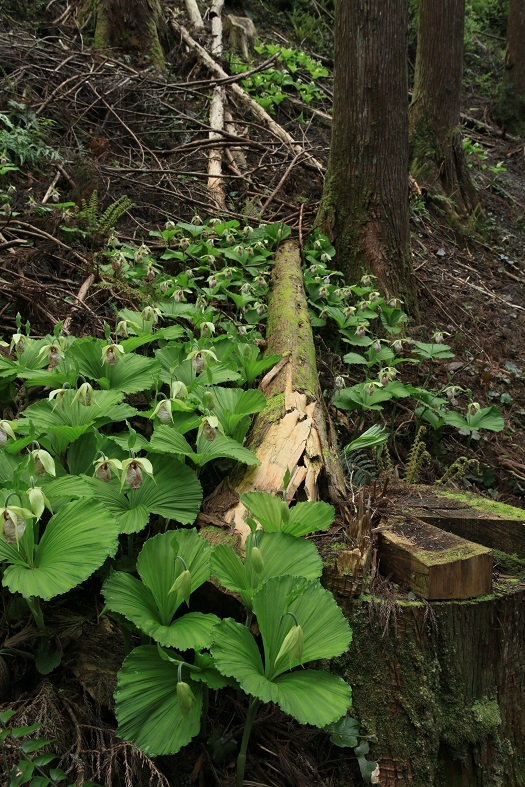 e0304170_16321195.jpg