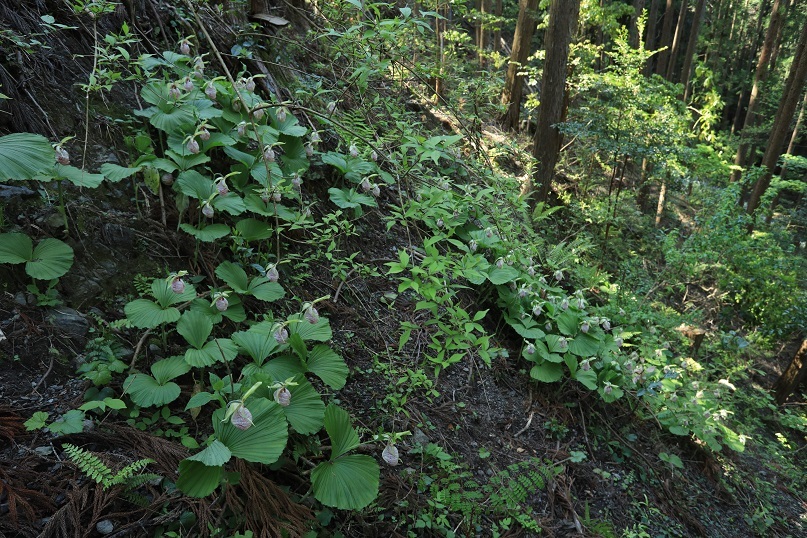 e0304170_16325067.jpg
