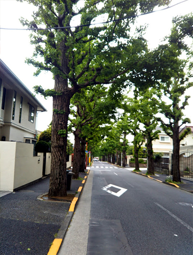 d0169072_15352433.jpg