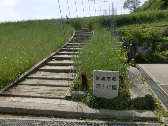 c0215673_09062406.jpg