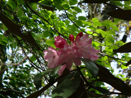 d0182075_01344445.jpg