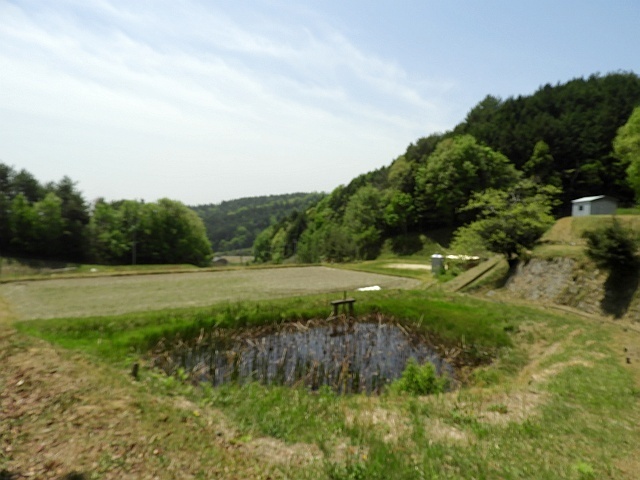 f0378979_17445975.jpg