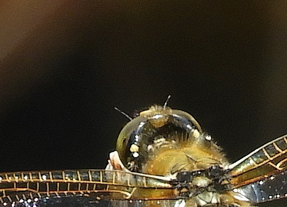 f0378979_17561154.jpg