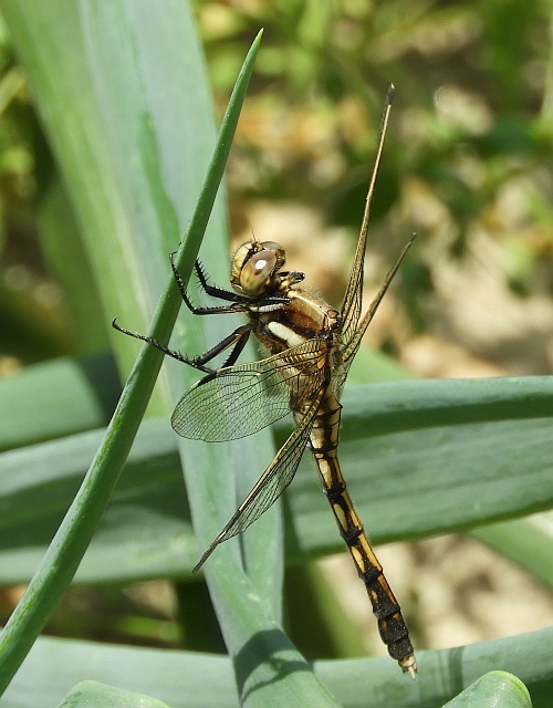 f0378979_17590572.jpg
