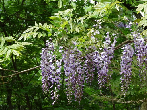 b0159780_00590469.jpg