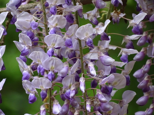 b0159780_01032741.jpg