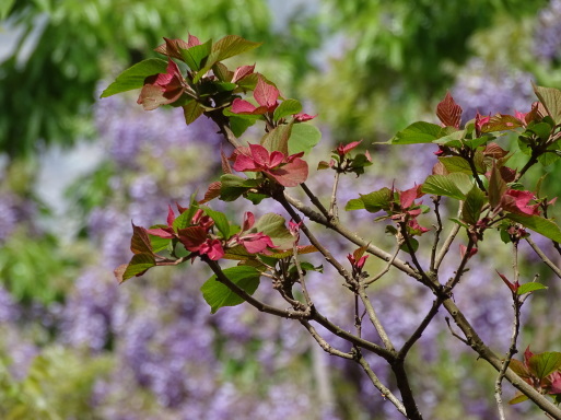 b0159780_01051175.jpg