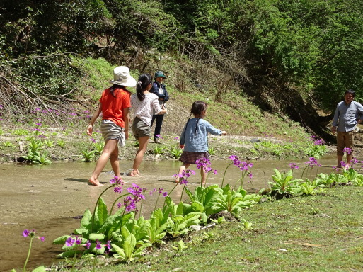 b0159780_01145736.jpg