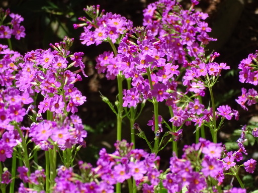 b0159780_01213550.jpg