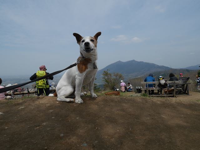 d0038083_01031790.jpg