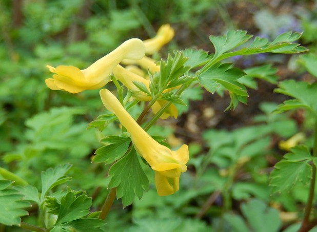 c0144185_2142279.jpg