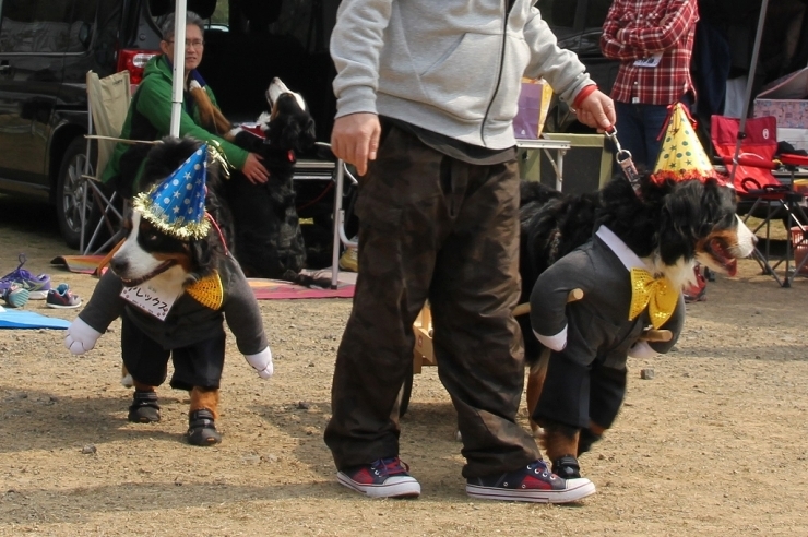 b0135889_00561259.jpg