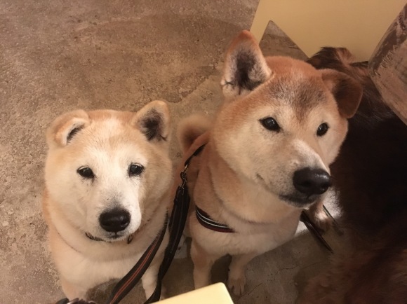 c0123890_19230707.jpeg