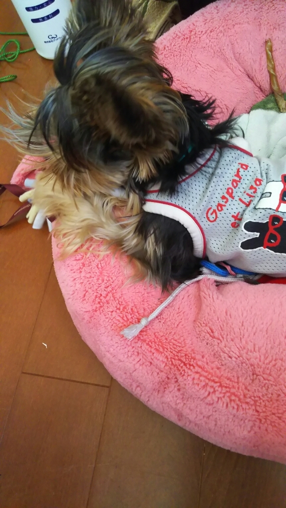 c0191390_16053974.jpg