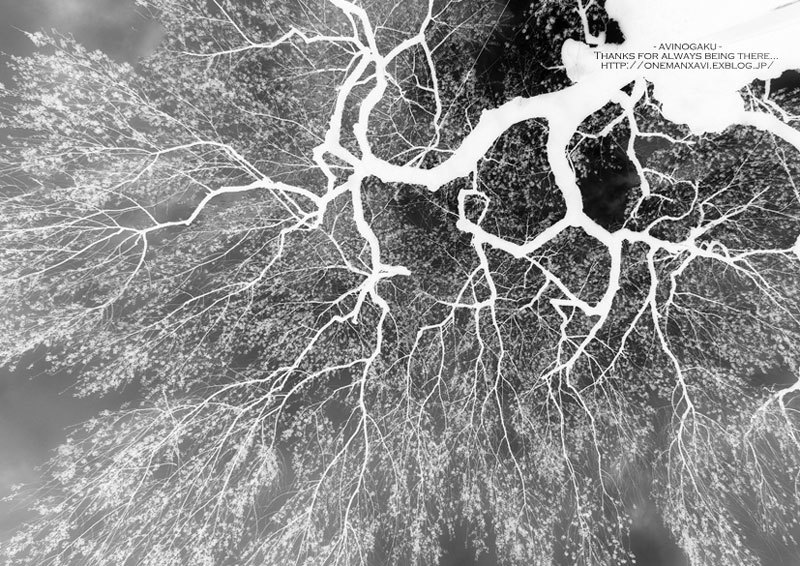 d0145990_16521683.jpg