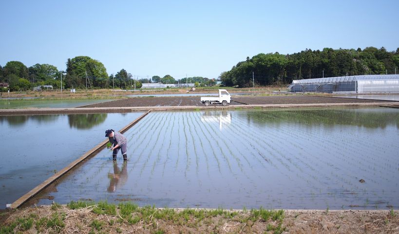 c0154691_01343018.jpg