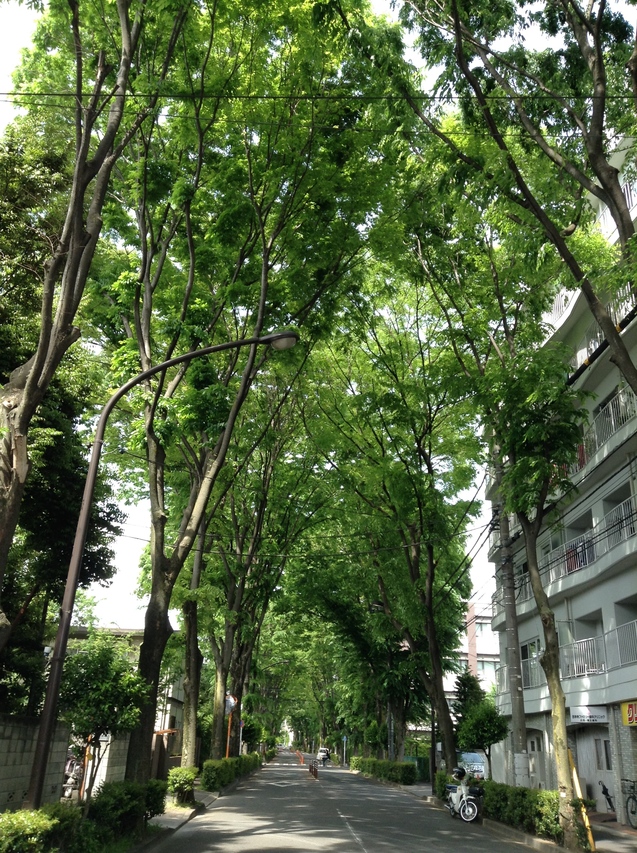 e0115994_1810677.jpg