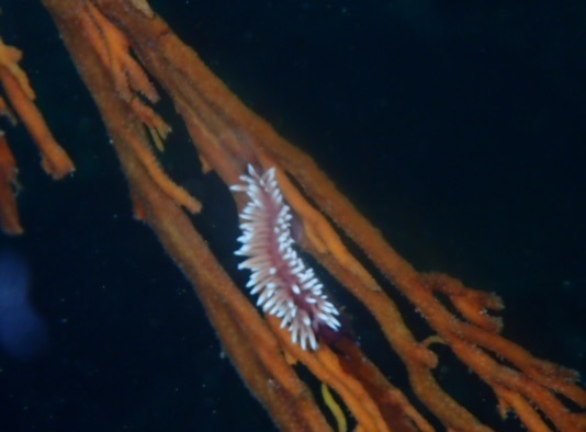 f0297095_18535173.jpg