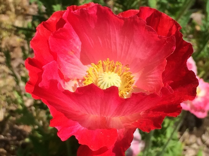 f0201297_19584045.jpg