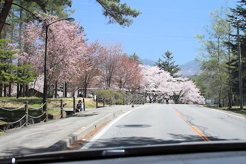 c0090198_18285134.jpg