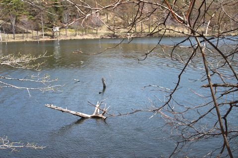 c0090198_18364934.jpg