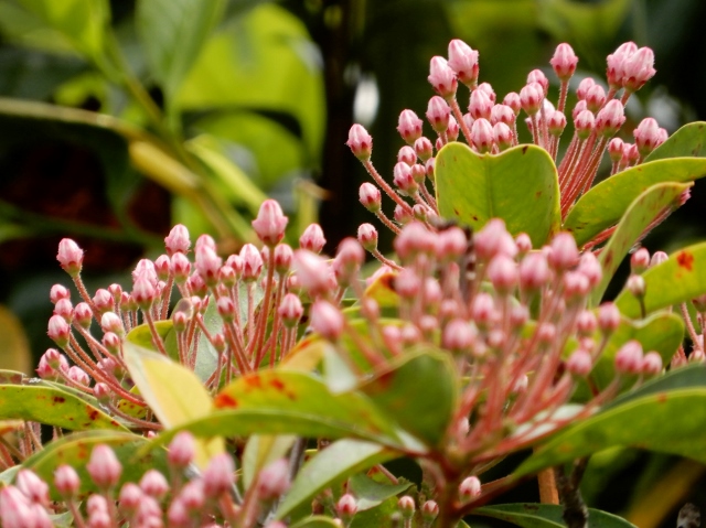 e0025300_12201569.jpg