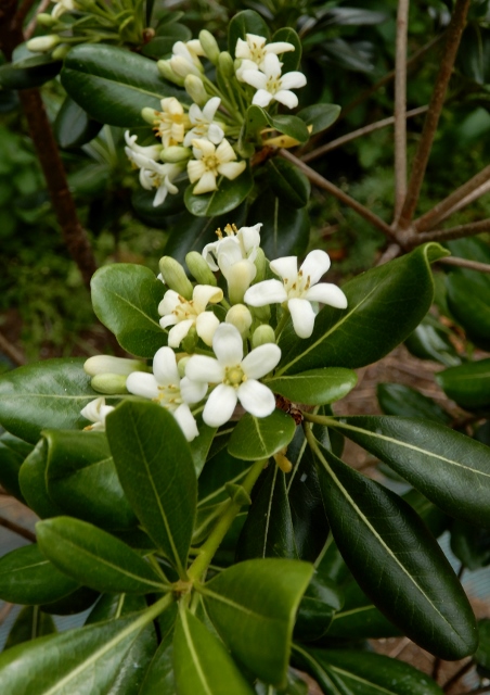 e0025300_1263675.jpg