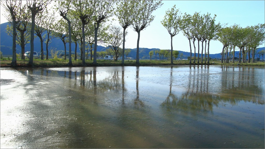d0353401_19415910.jpg