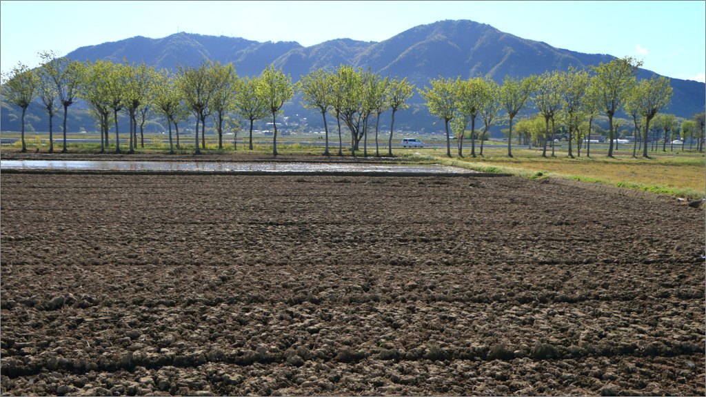 d0353401_20543365.jpg