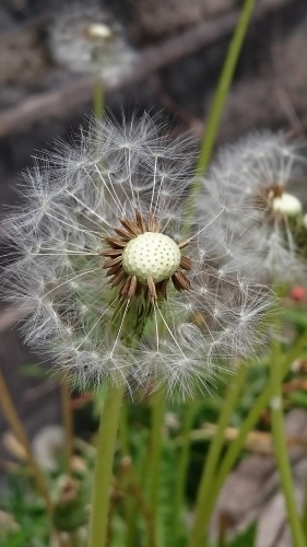 e0351303_14543664.jpg