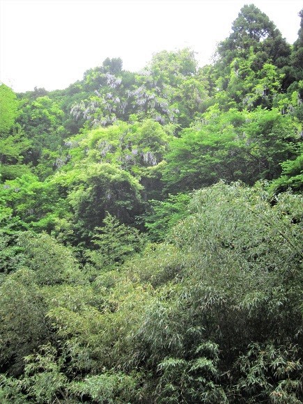 e0245404_164262.jpg