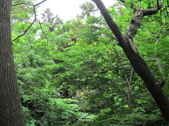 e0245404_2032138.jpg