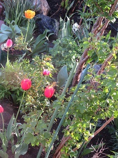 f0325309_17201305.jpg
