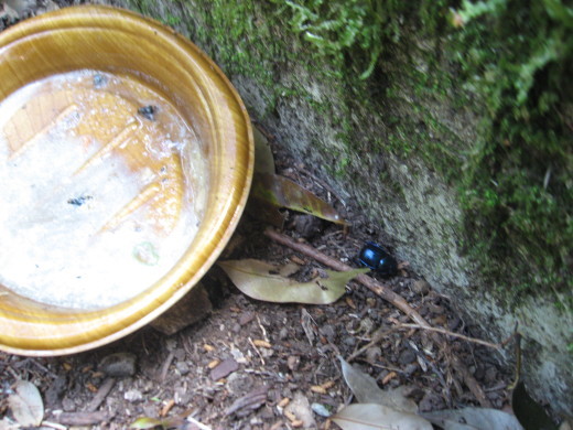 c0062511_21243894.jpg