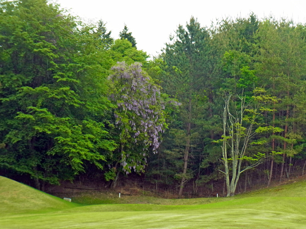 e0083517_17544054.jpg
