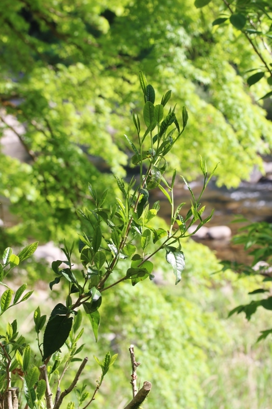b0220318_05583465.jpg