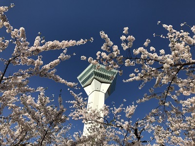 c0227720_22435924.jpg