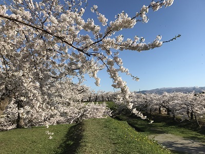 c0227720_22472632.jpg