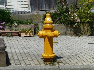 c0227720_23242588.jpg