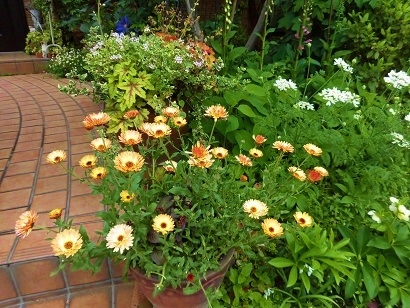 c0204121_00252248.jpg
