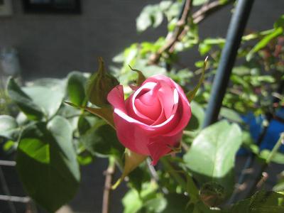 f0166824_11463516.jpg