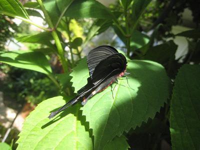 f0166824_11490434.jpg