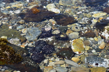 f0362524_18043138.jpg