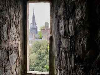 c0051529_143549.jpg