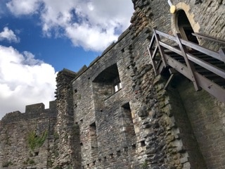 c0051529_1462253.jpg