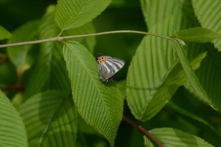 c0353632_16511245.jpg