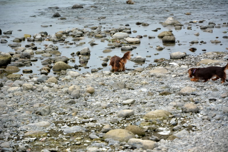 e0056537_08273729.jpg