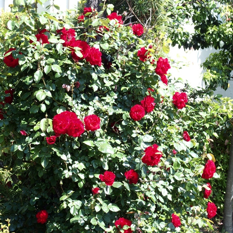 f0360238_01472687.jpg