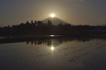c0314839_06072626.jpg